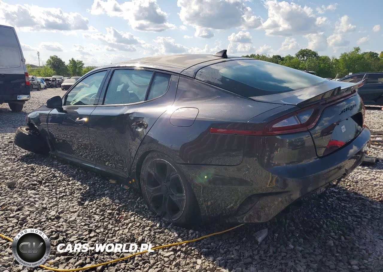 2020 Kia Stinger Gt-Line VIN:KNAE15LA9L6072401 - 2