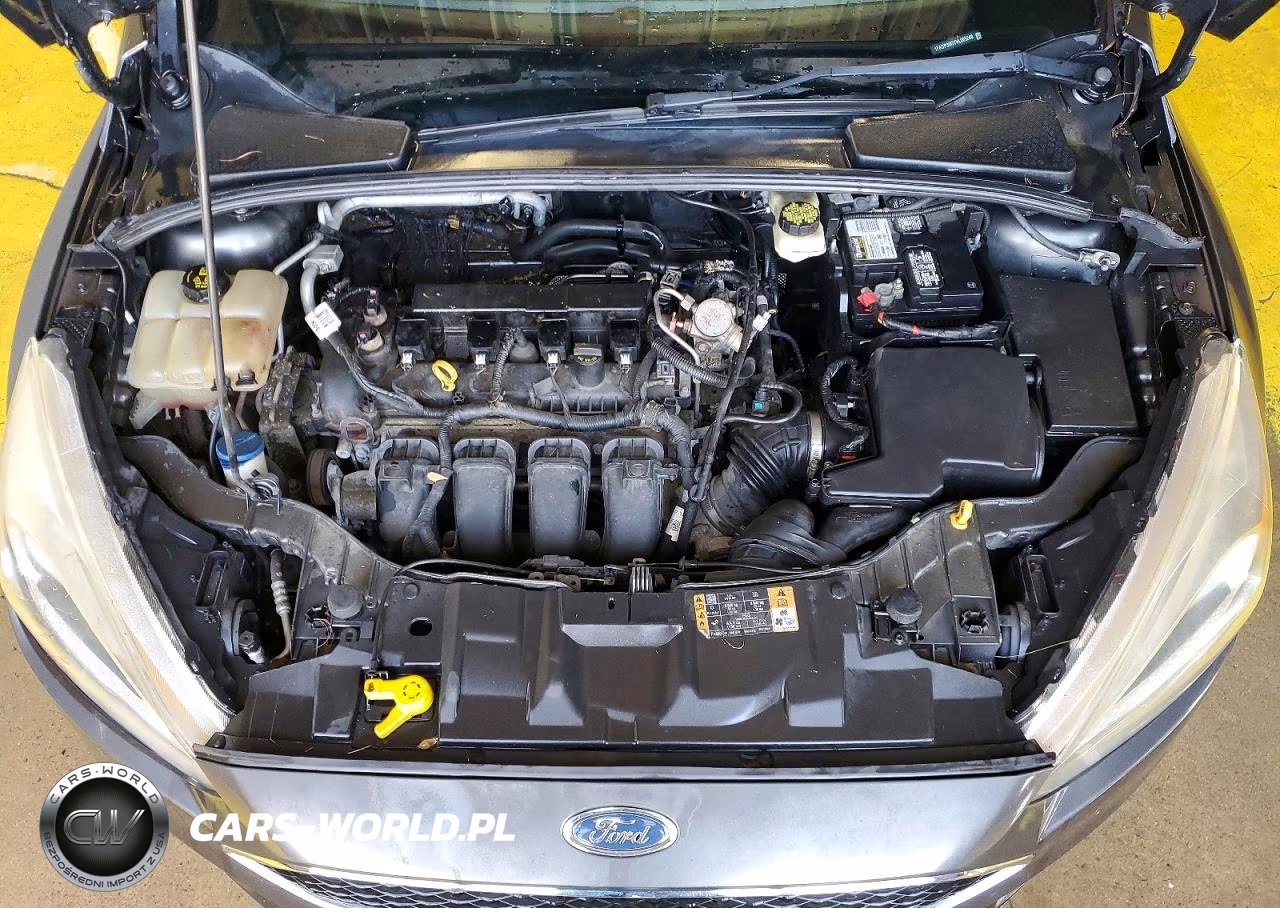 2017 Ford Focus Sel VIN:1FADP3M27HL265248 - 12