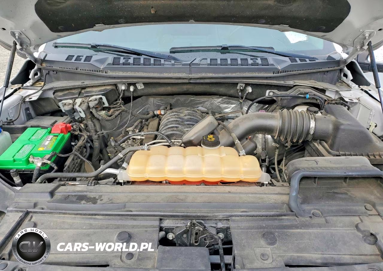 2019 Ford F150 Supercrew VIN:1FTEW1E5XKFA20738 - 11