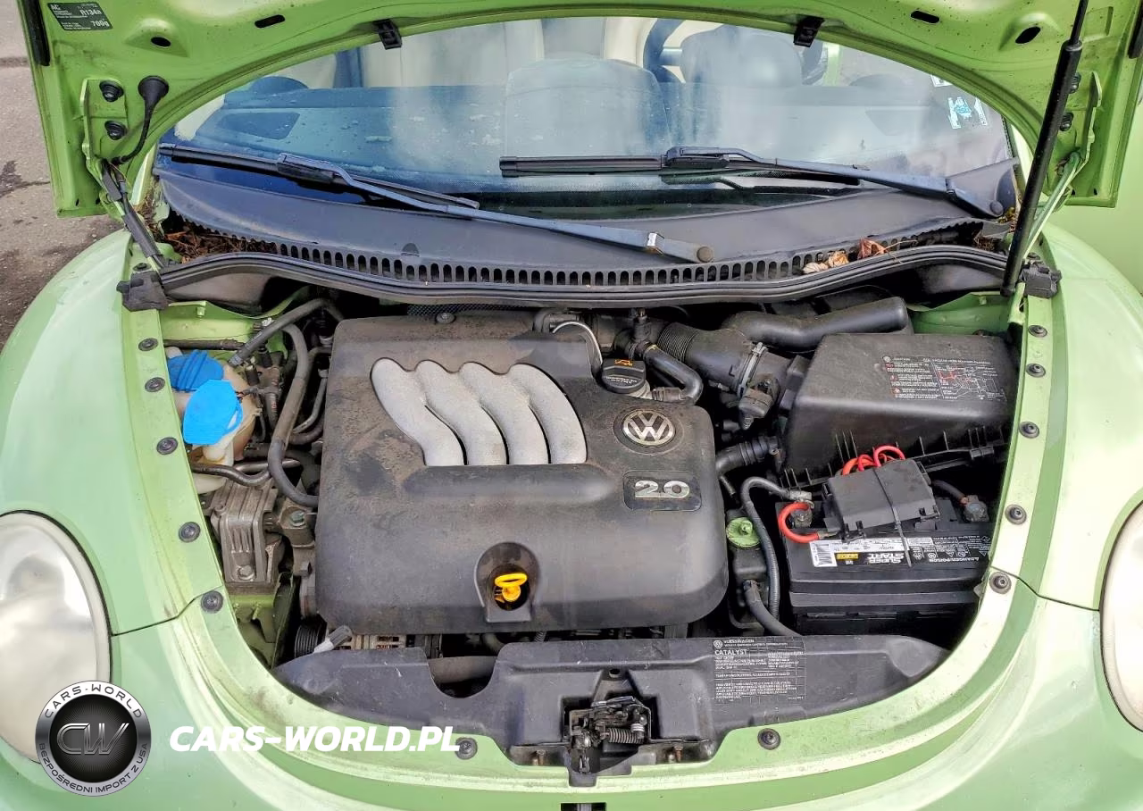 2005 Volkswagen New Beetle Gls VIN:3VWCK31C25M414397 - 11