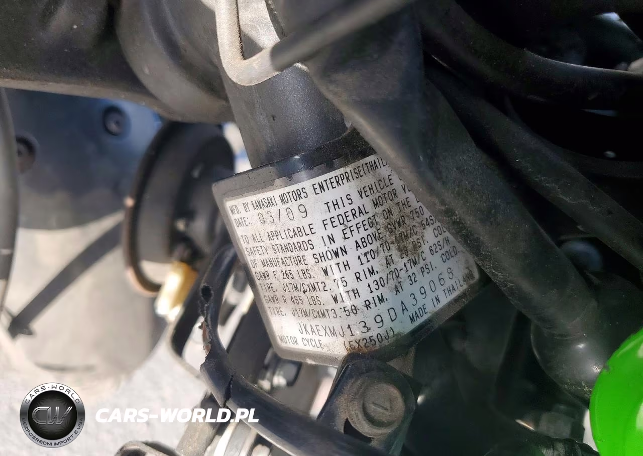 2009 Kawasaki Ex250 J VIN:JKAEXMJ139DA39068 - 9