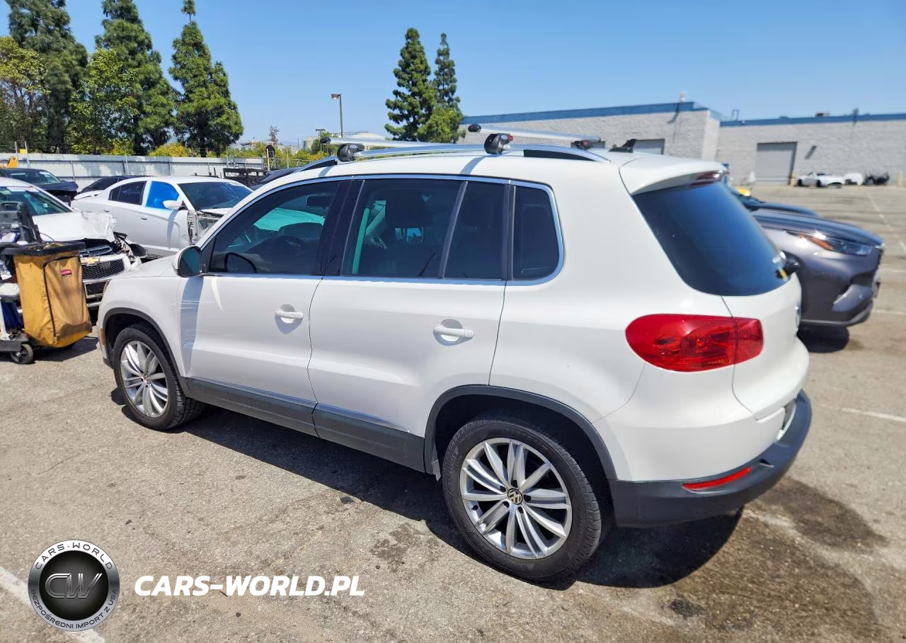2014 Volkswagen Tiguan S VIN:WVGAV3AX4EW550496 - 2