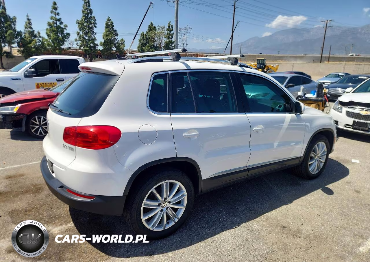 2014 Volkswagen Tiguan S VIN:WVGAV3AX4EW550496 - 3