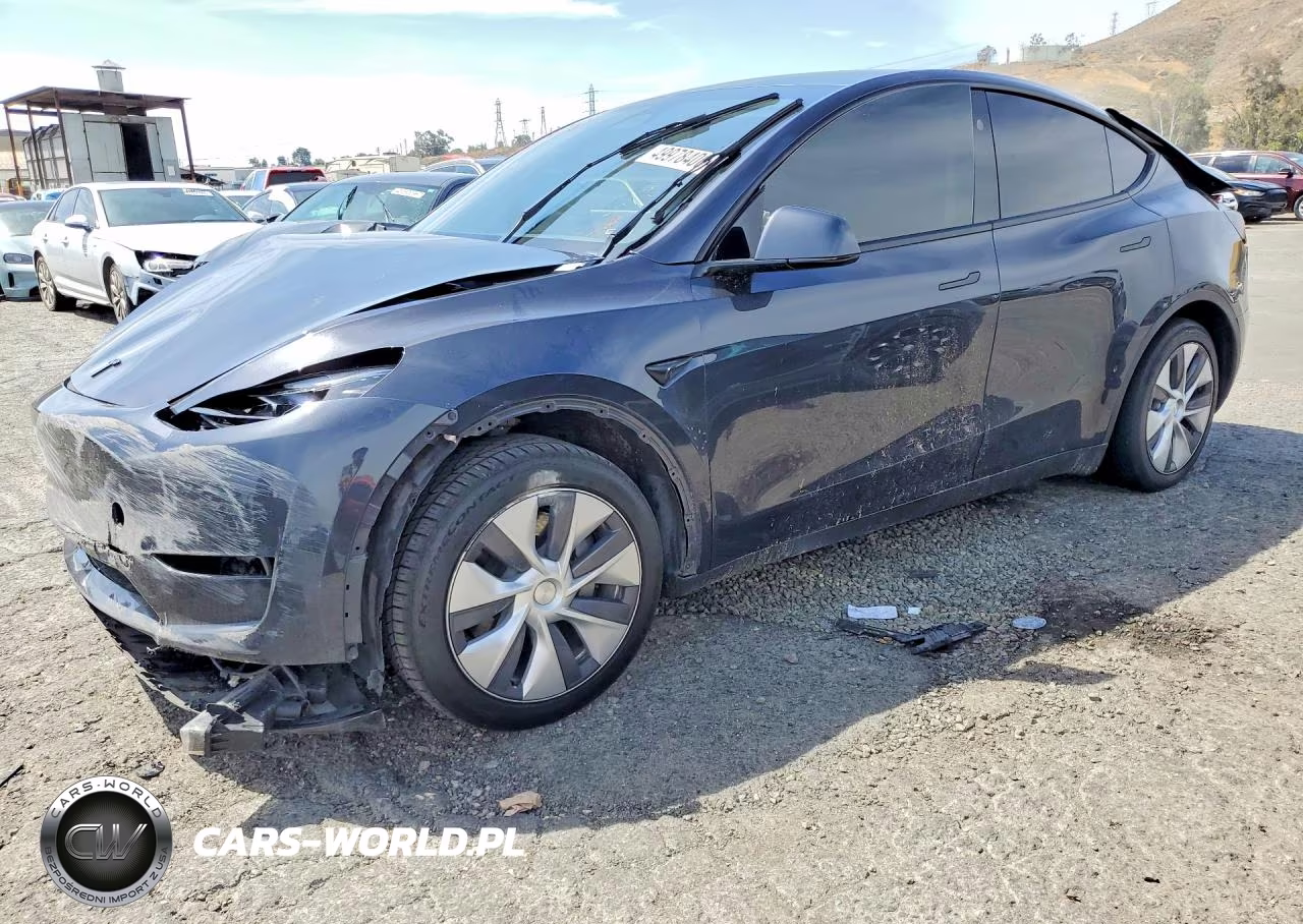 2024 Tesla Model Y