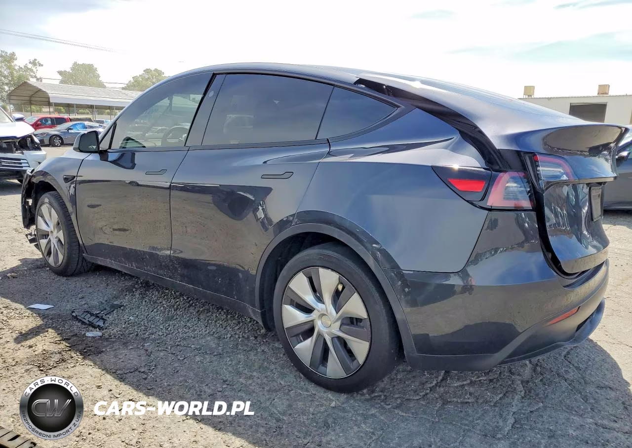 2024 Tesla Model Y VIN:7SAYGDEE1RF079965 - 2