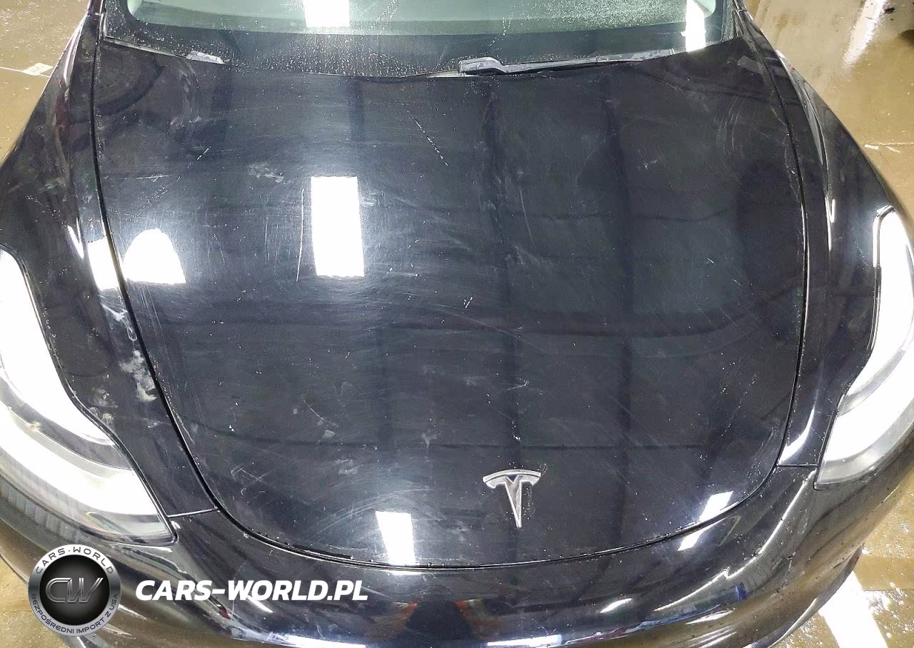 2019 Tesla Model 3 VIN:5YJ3E1EA9KF304678 - 11