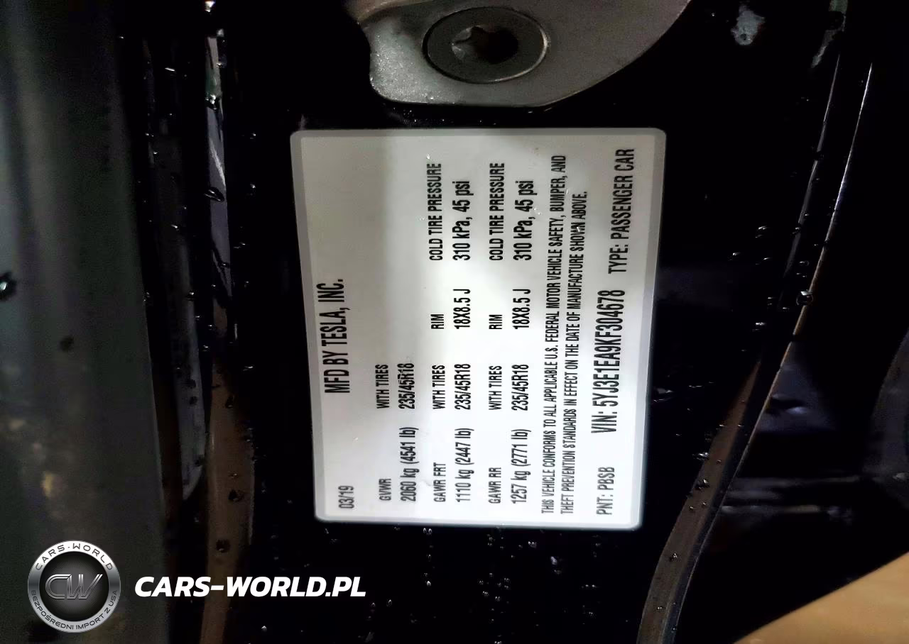 2019 Tesla Model 3 VIN:5YJ3E1EA9KF304678 - 12