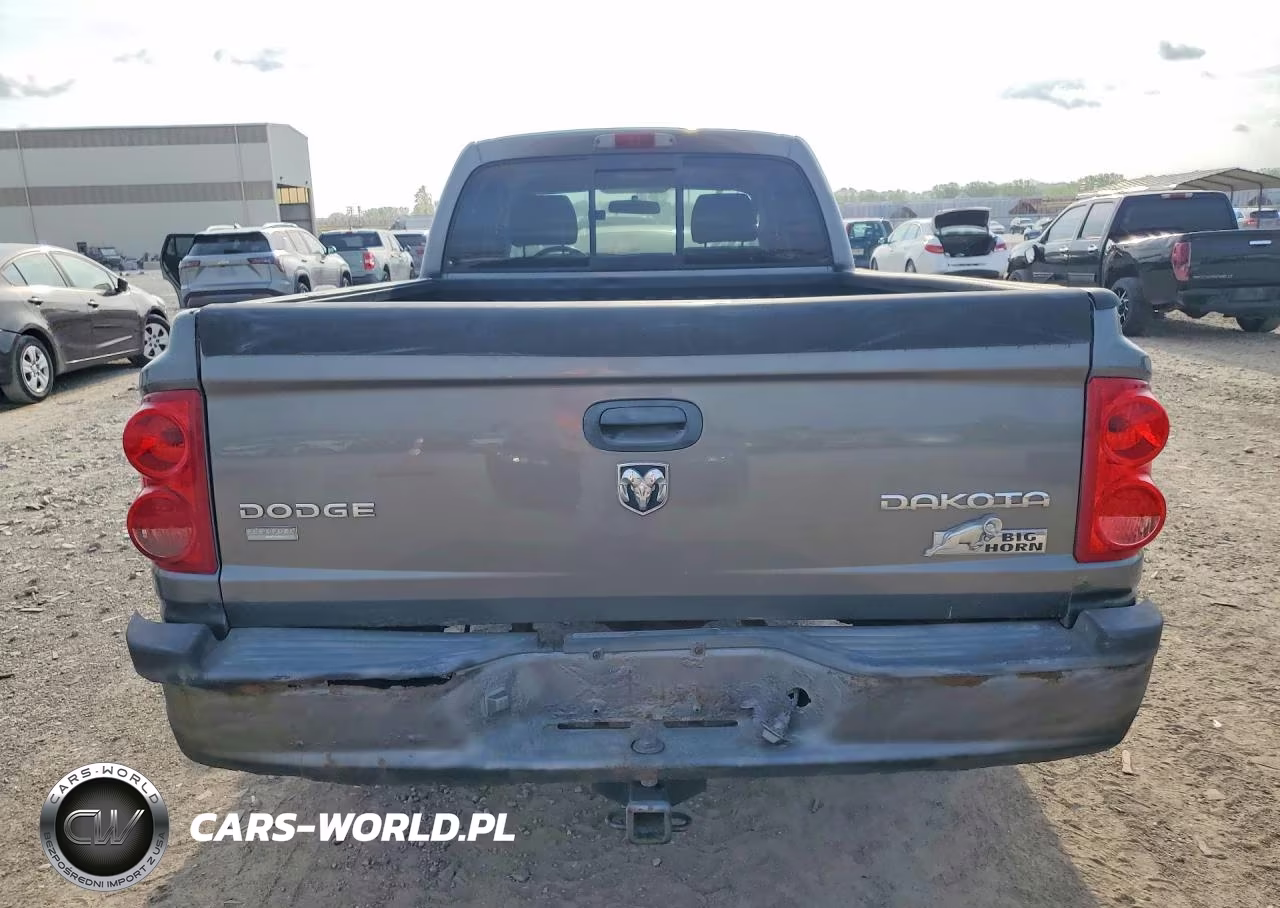 2010 Dodge Dakota Sxt VIN:1D7CW3BP0AS104619 - 6