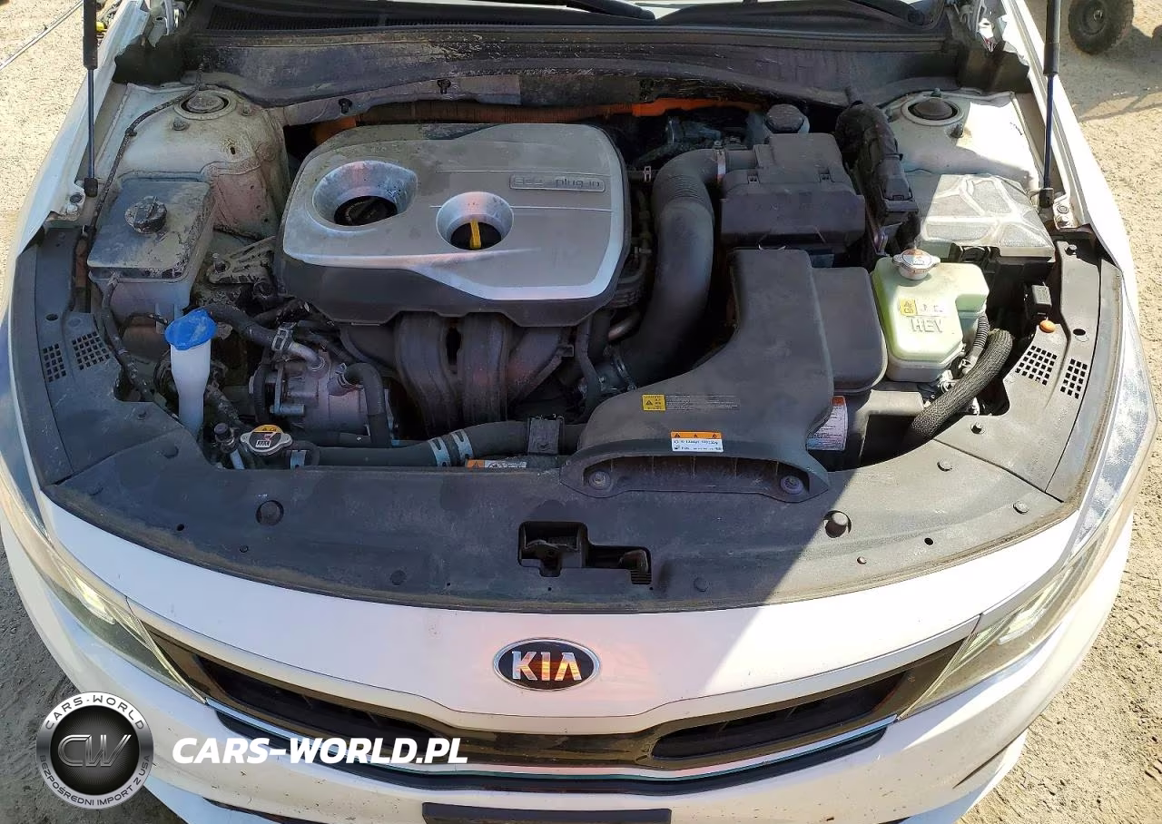 2020 Kia Optima VIN:KNAGV4LD6L5036625 - 11