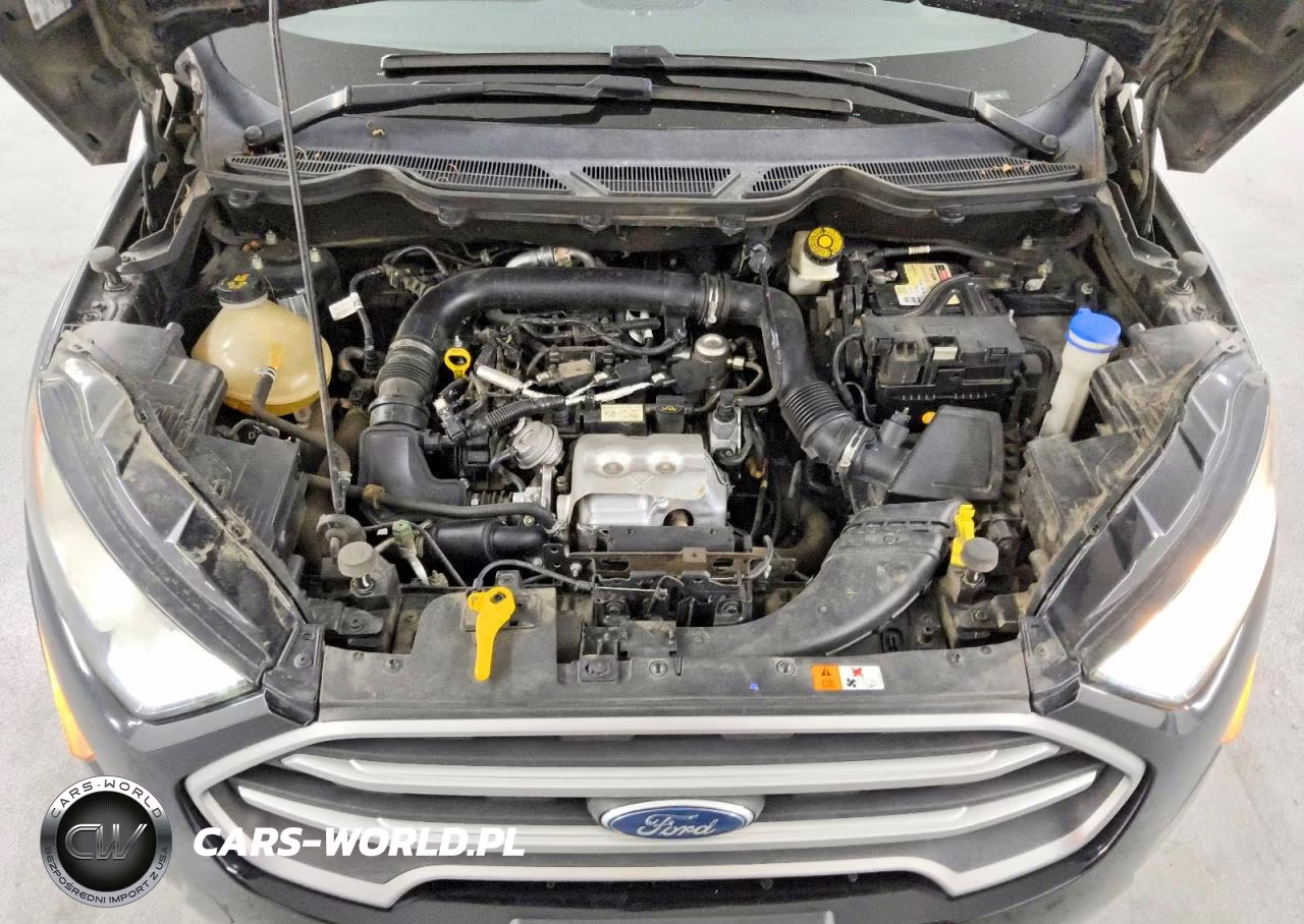 2019 Ford Ecosport Se VIN:MAJ3S2GE0KC304487 - 12