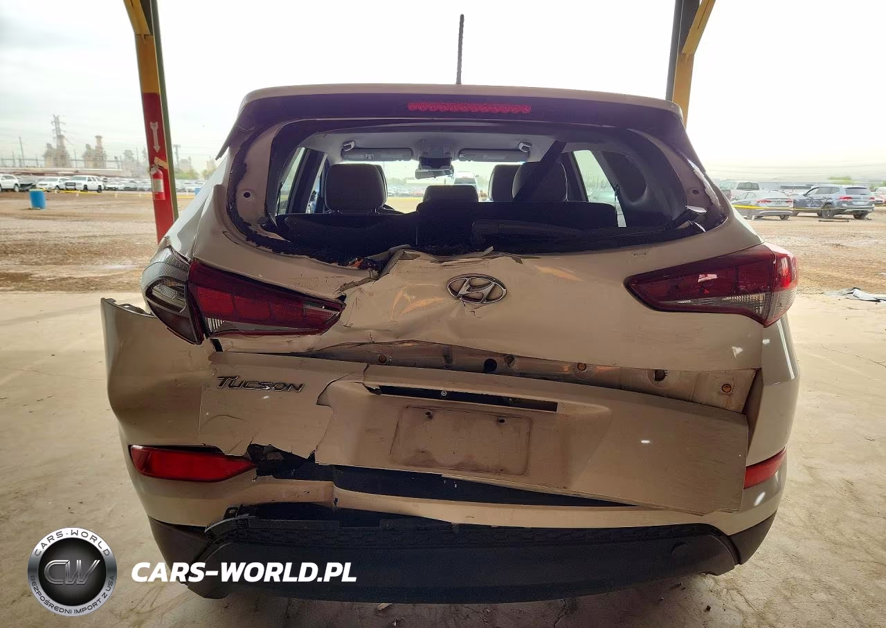 2017 Hyundai Tucson Se VIN:KM8J33A49HU463737 - 6