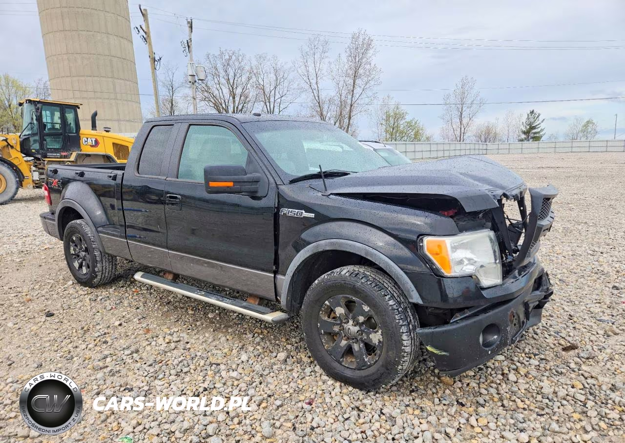 2009 Ford F150 Super Cab VIN:1FTPX04V39KB95349 - 4