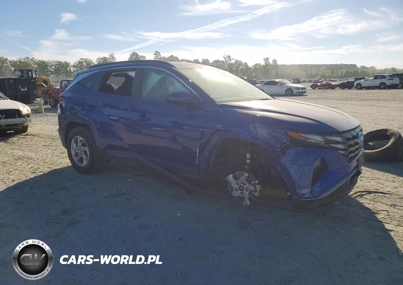 2024 Hyundai Tucson Sel VIN:5NMJB3DE6RH298704 - 4