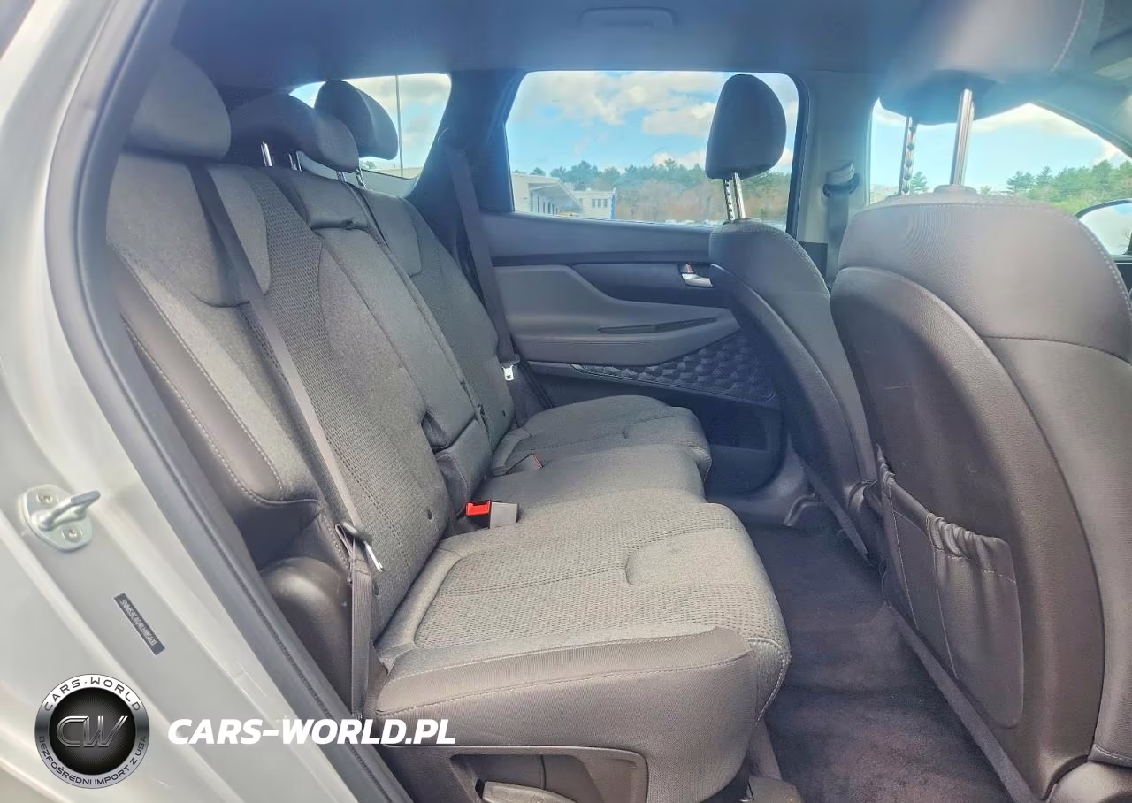 2020 Hyundai Santa Fe Sel VIN:5NMS3CAD4LH185600 - 10