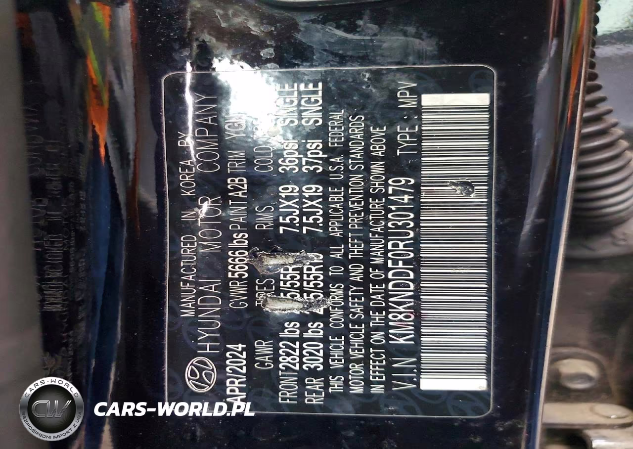 2024 Hyundai Ioniq 5 Sel VIN:KM8KNDDF0RU301479 - 13