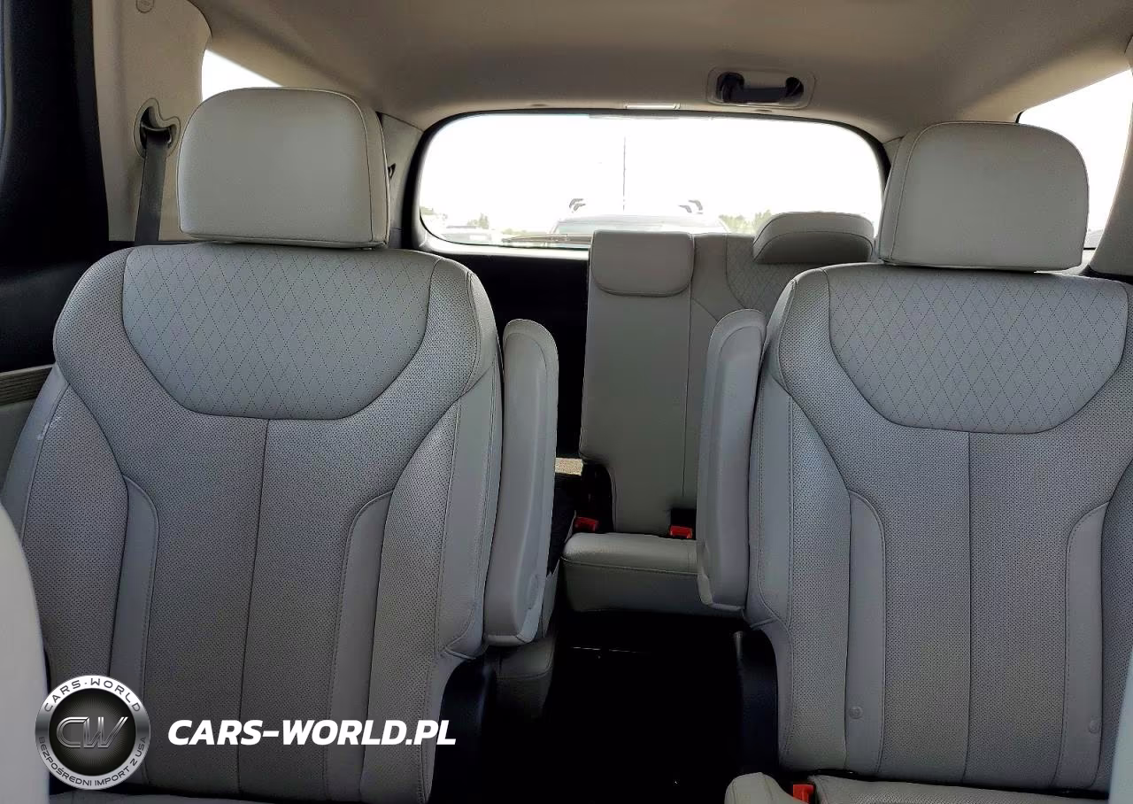 2020 Hyundai Palisade Sel VIN:KM8R44HE2LU159601 - 10
