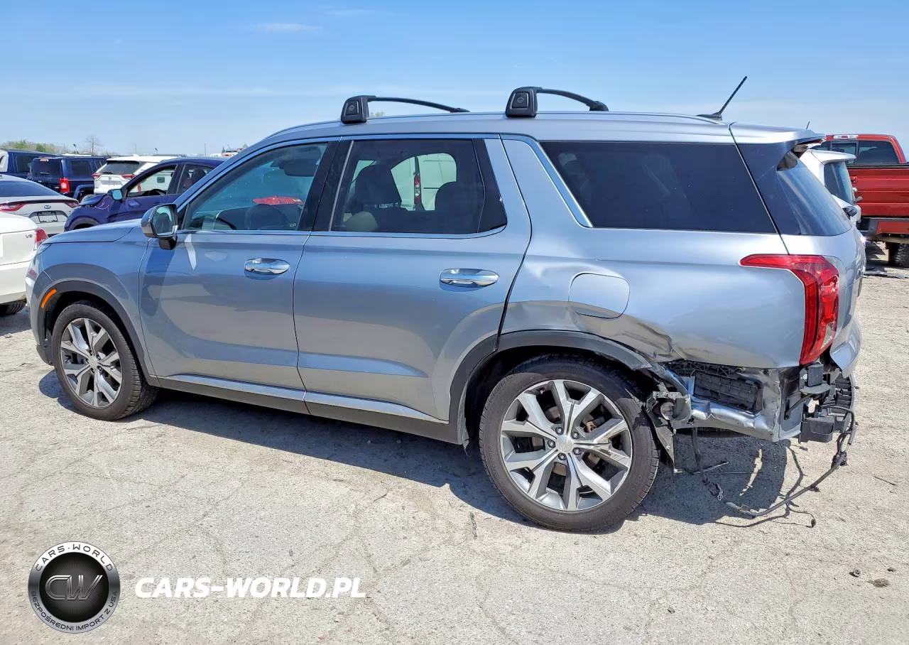 2020 Hyundai Palisade Sel VIN:KM8R44HE2LU159601 - 2