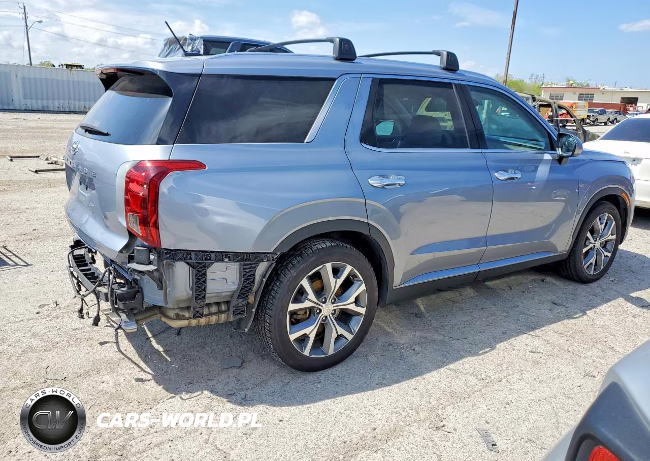 2020 Hyundai Palisade Sel VIN:KM8R44HE2LU159601 - 3
