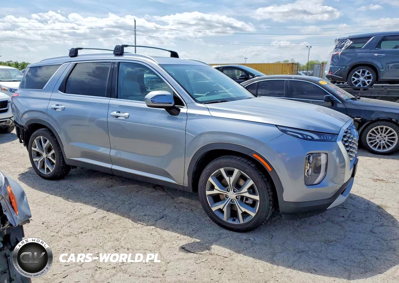 2020 Hyundai Palisade Sel VIN:KM8R44HE2LU159601 - 4