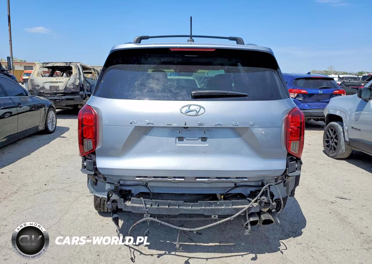 2020 Hyundai Palisade Sel VIN:KM8R44HE2LU159601 - 6