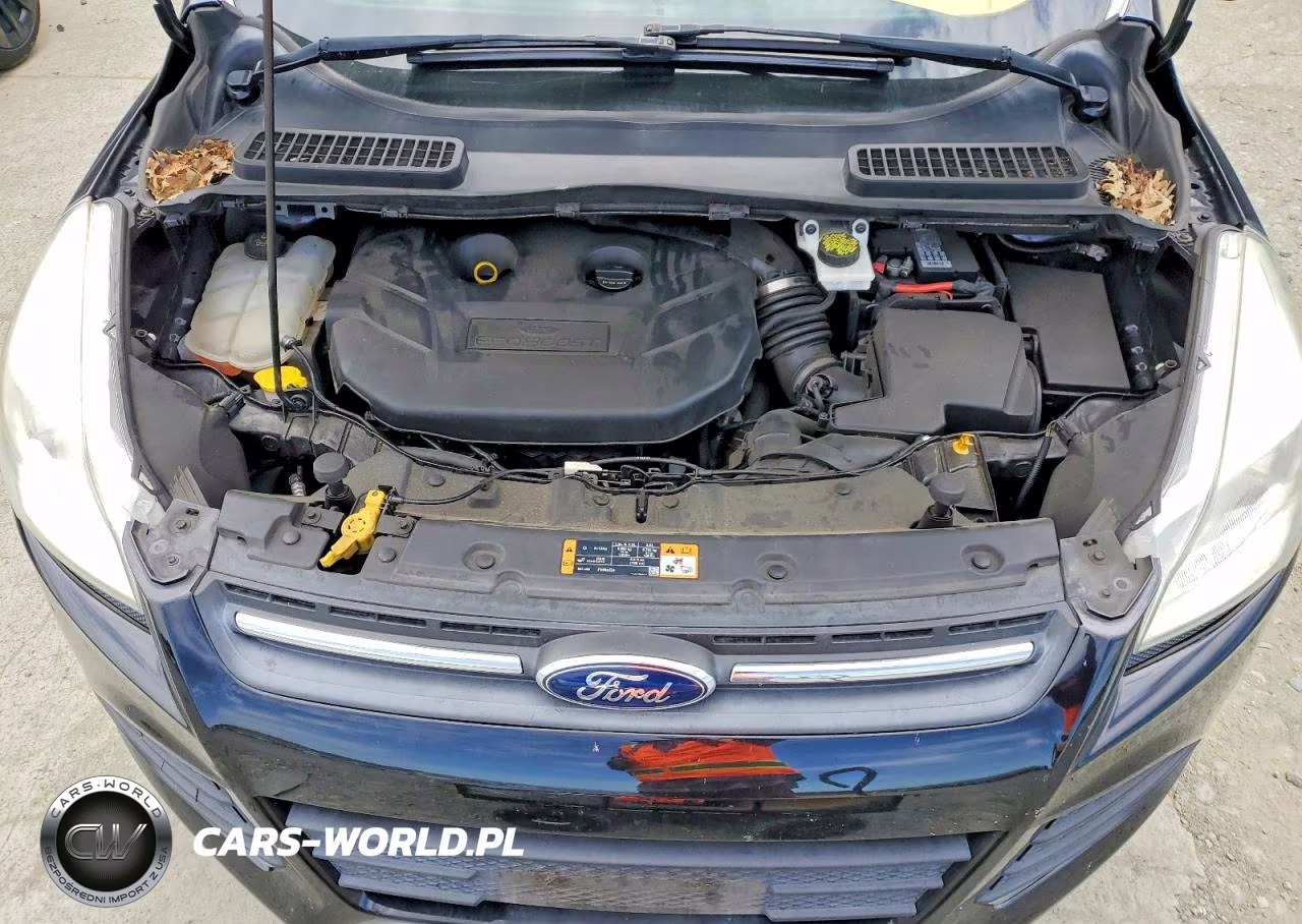 2016 Ford Escape Se VIN:1FMCU0G96GUB25220 - 12