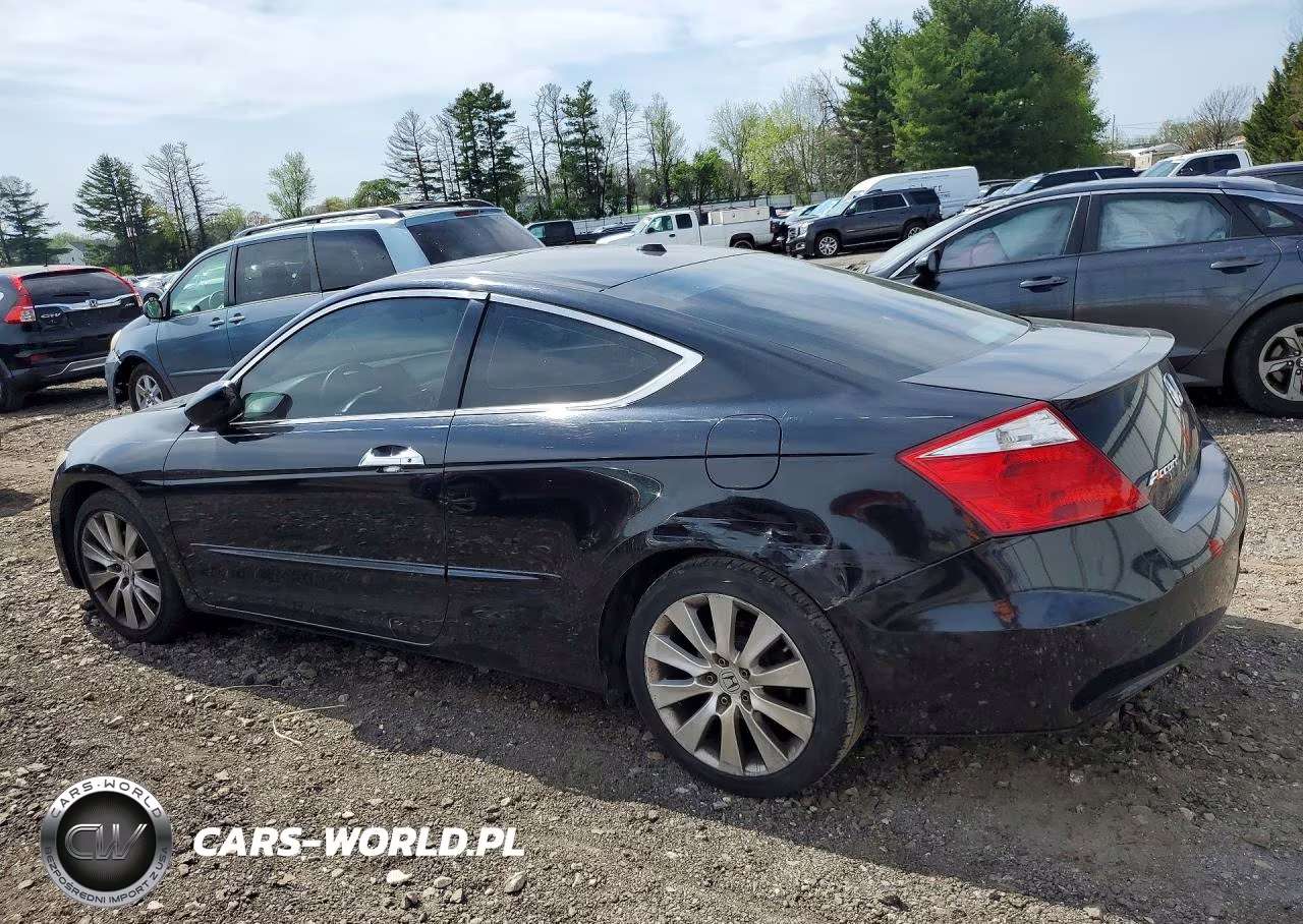 2008 Honda Accord Exl VIN:1HGCS22858A001156 - 2