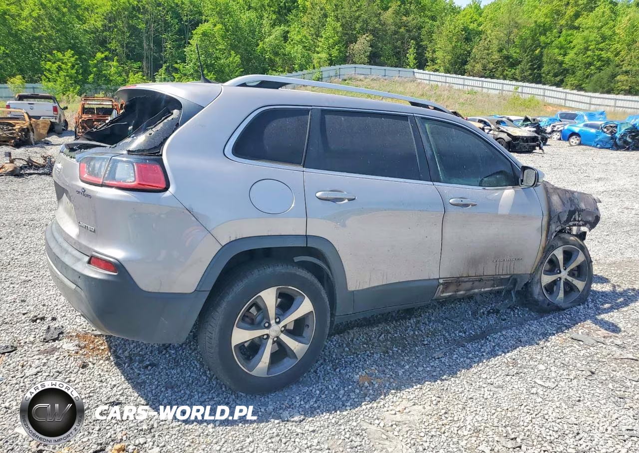 2019 Jeep Cherokee Limited VIN:1C4PJMDX8KD293491 - 3