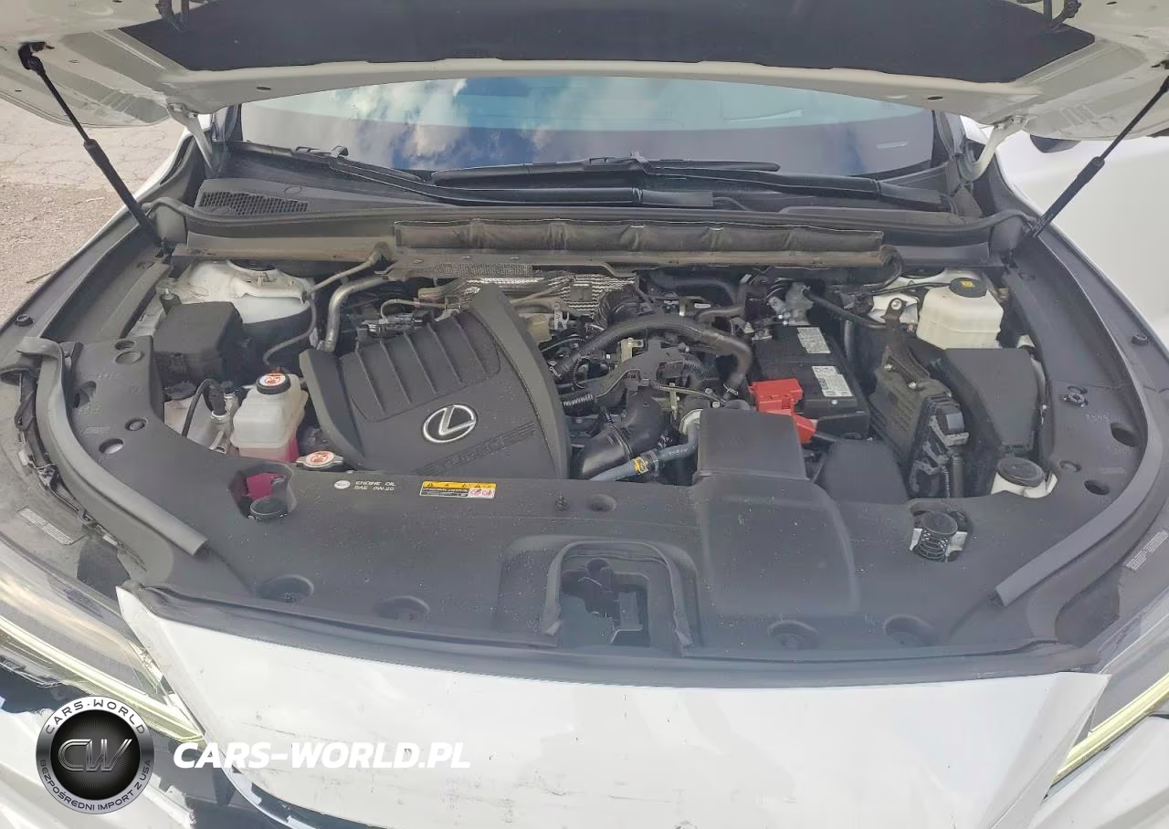 2023 Lexus Rx 350 F Sport Handling VIN:2T2BAMCA2PC031568 - 12
