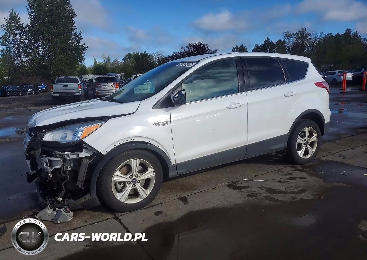 2013 Ford Escape Se