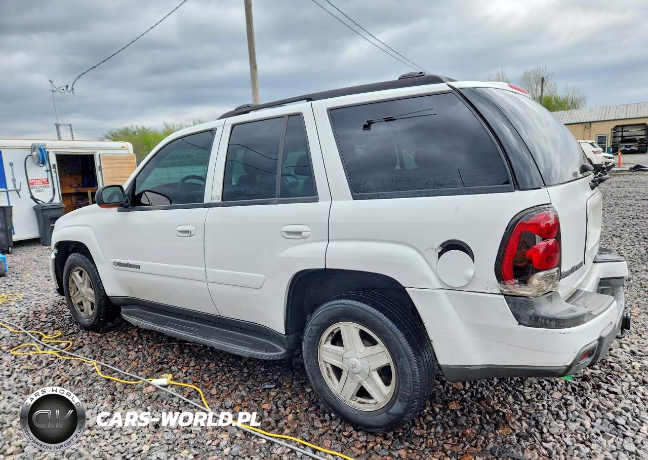 2003 Chevrolet Trailblazer VIN:1GNDT13S532290389 - 2