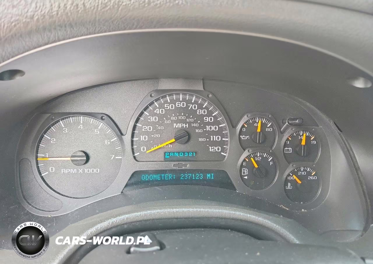 2003 Chevrolet Trailblazer VIN:1GNDT13S532290389 - 9