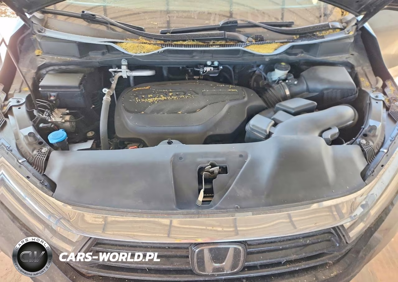 2024 Honda Odyssey Exl VIN:5FNRL6H6XRB017171 - 12