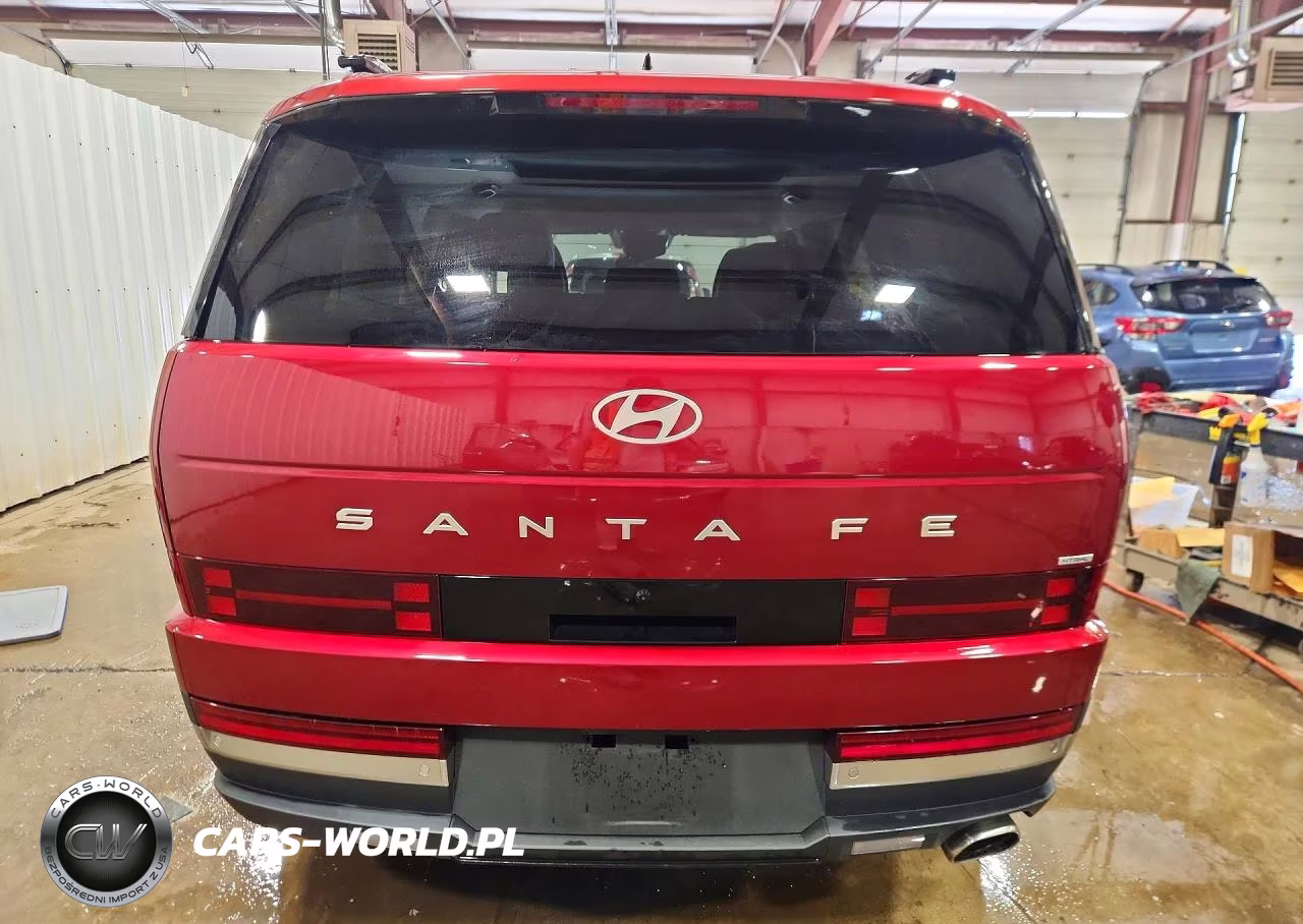 2024 Hyundai Santa Fe Limited VIN:5NMP4DGL5RH065451 - 6