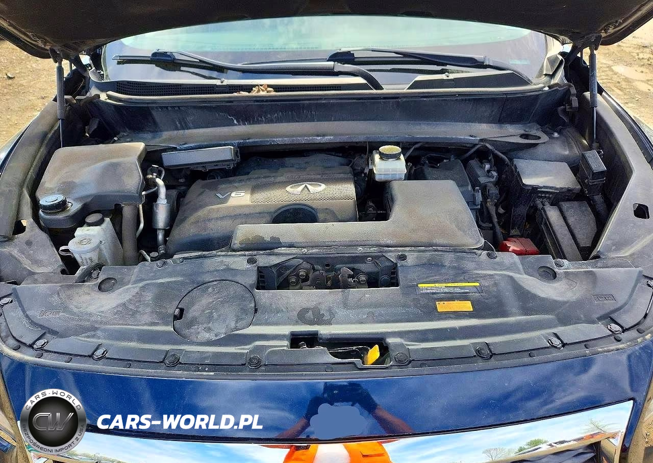 2020 Infiniti Qx60 Pure VIN:5N1DL0MM7LC530258 - 12