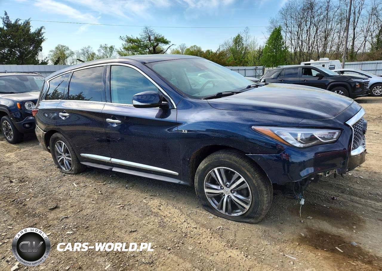 2020 Infiniti Qx60 Pure VIN:5N1DL0MM7LC530258 - 4