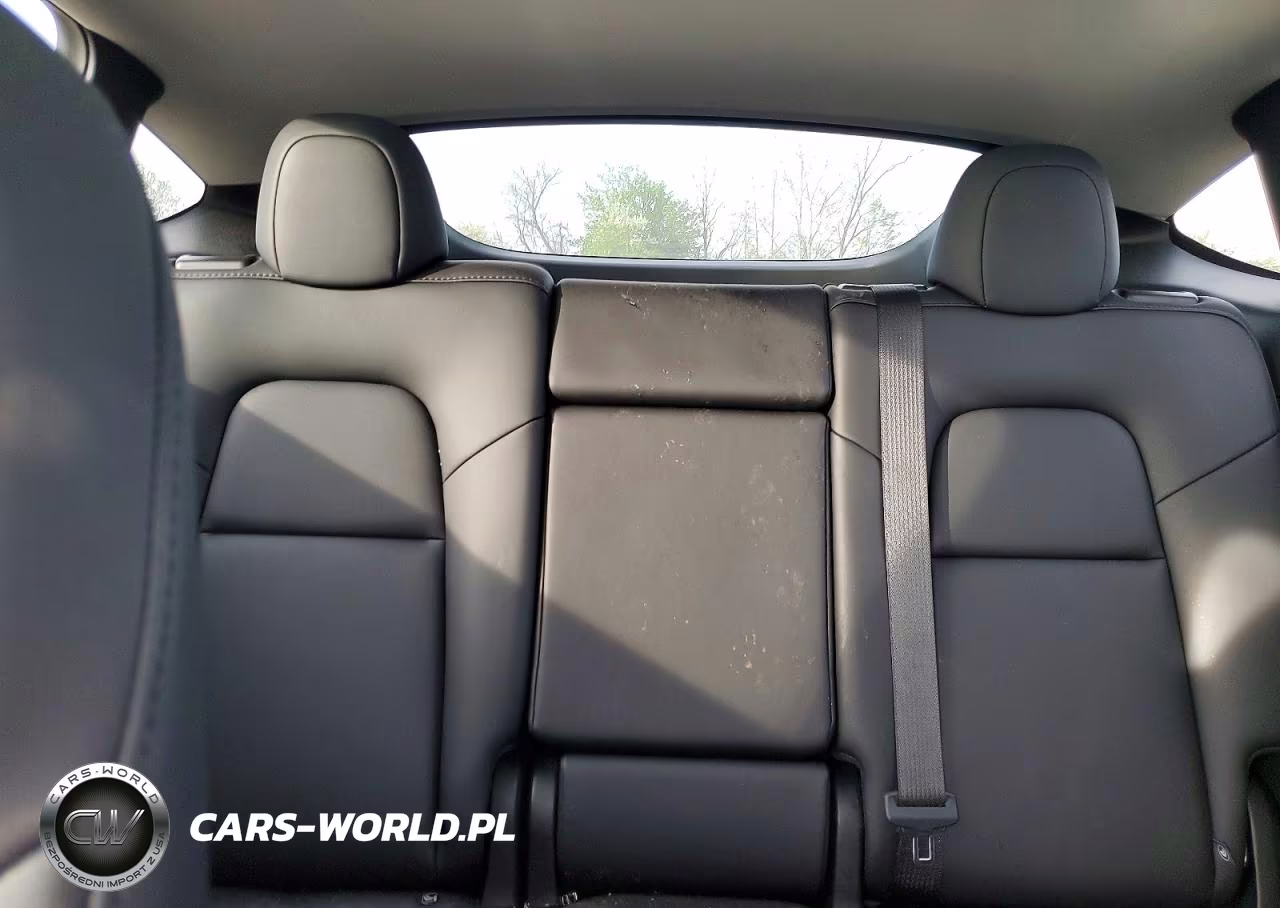 2025 Tesla Model Y VIN:7SAYGDED8SF255309 - 10