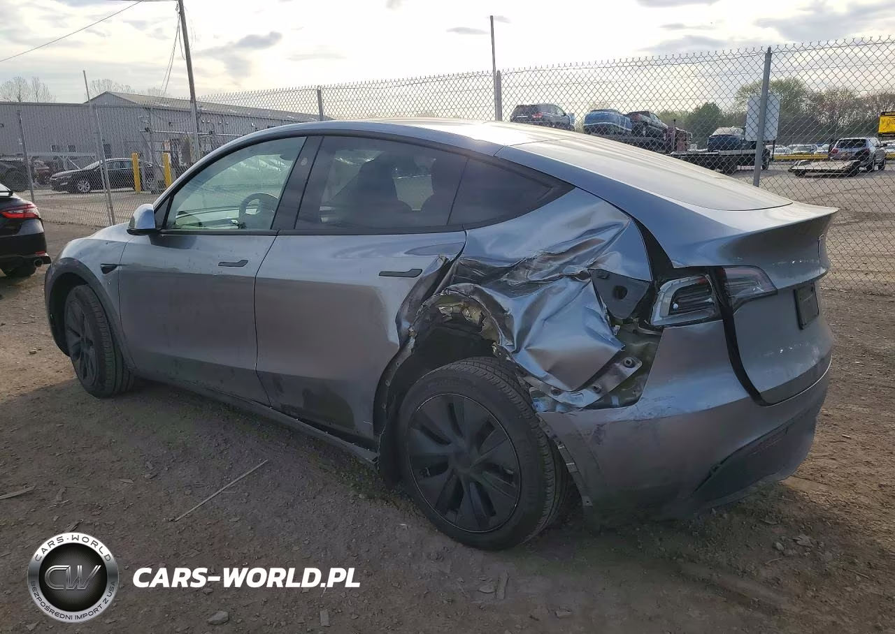 2025 Tesla Model Y VIN:7SAYGDED8SF255309 - 2