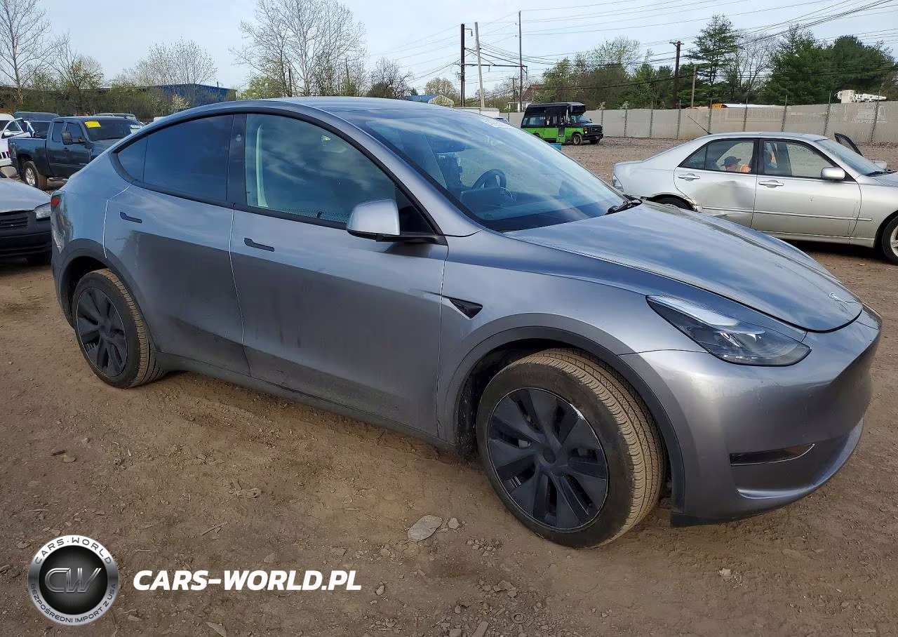 2025 Tesla Model Y VIN:7SAYGDED8SF255309 - 4