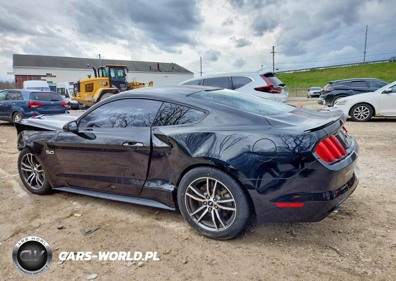 2017 Ford Mustang Gt VIN:1FA6P8CF8H5256718 - 2