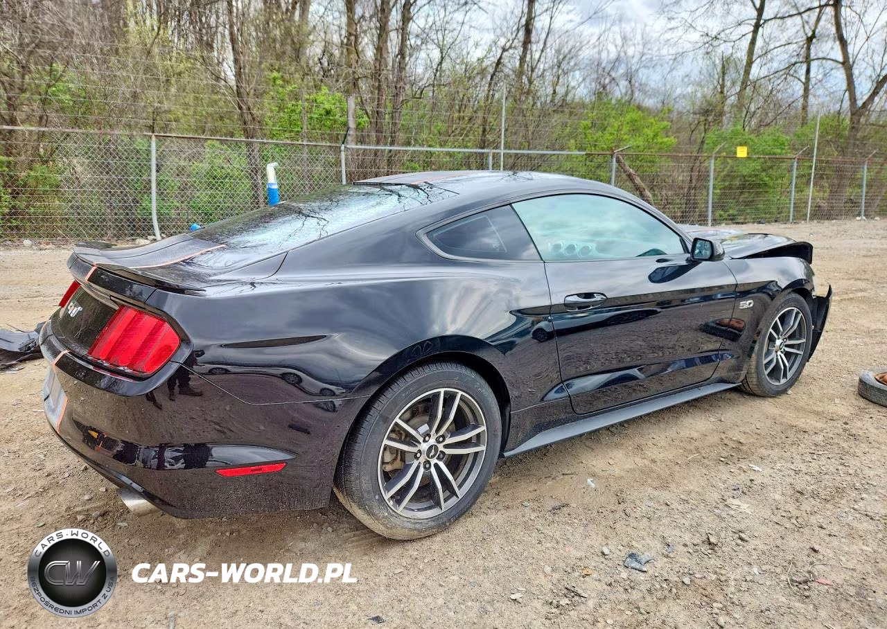 2017 Ford Mustang Gt VIN:1FA6P8CF8H5256718 - 3