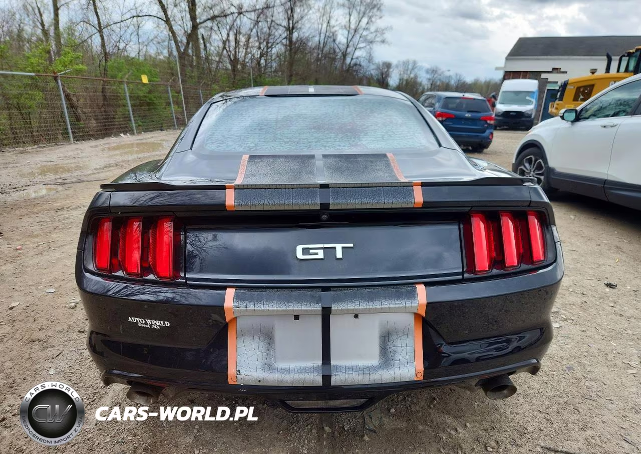 2017 Ford Mustang Gt VIN:1FA6P8CF8H5256718 - 6
