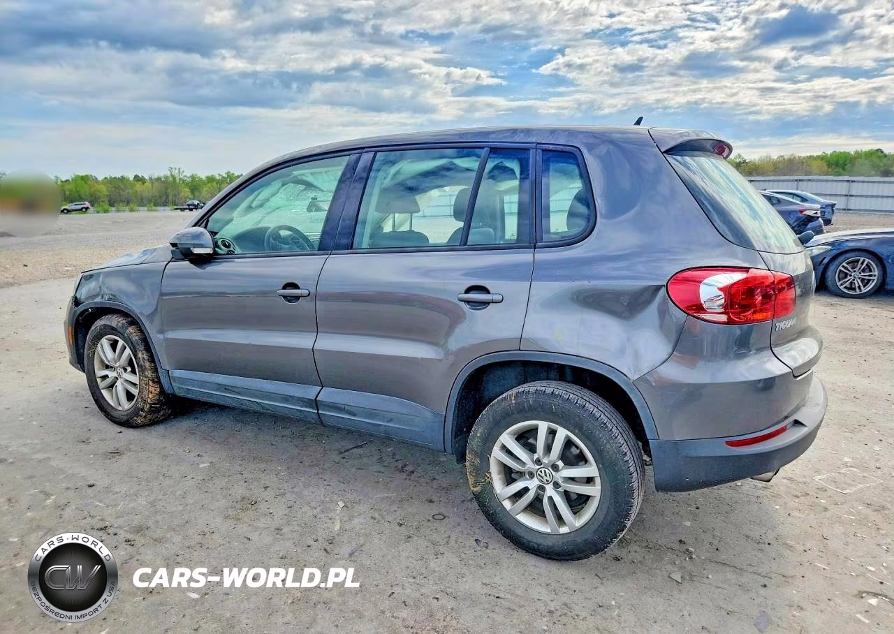 2014 Volkswagen Tiguan S VIN:WVGAV3AX6EW620273 - 2
