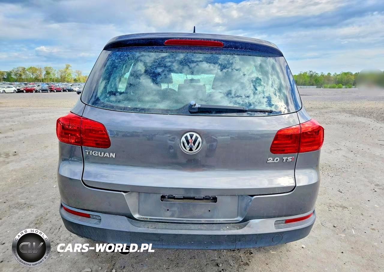 2014 Volkswagen Tiguan S VIN:WVGAV3AX6EW620273 - 6
