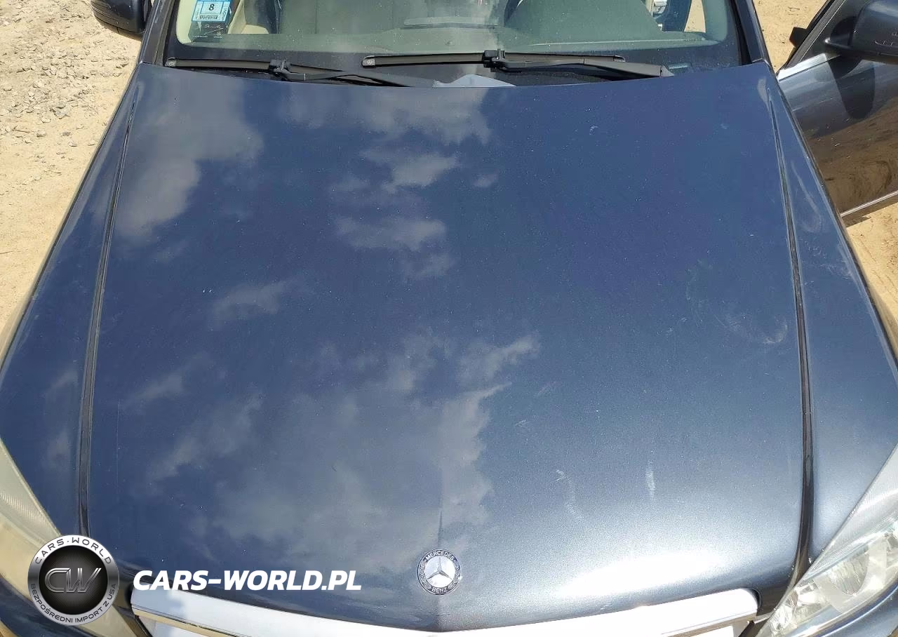 2010 Mercedes-Benz 300 VIN:WDDGF8BB4AF478498 - 11