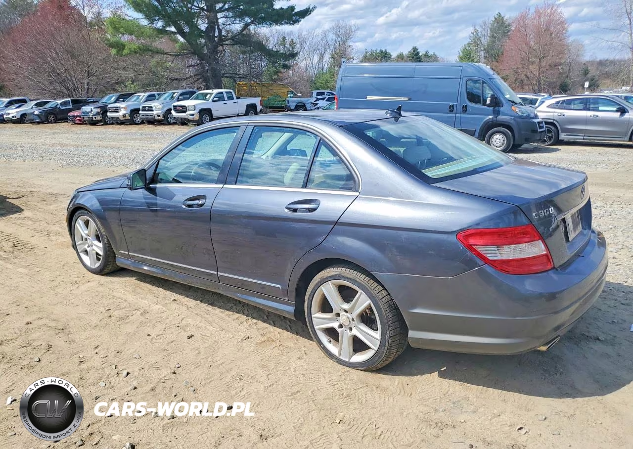 2010 Mercedes-Benz 300 VIN:WDDGF8BB4AF478498 - 2