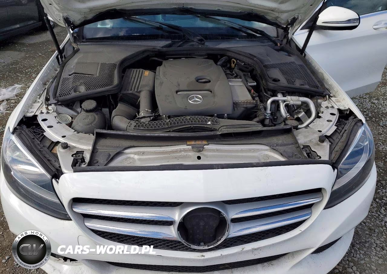 2018 Mercedes-Benz C 300 VIN:55SWF4JB2JU257520 - 11