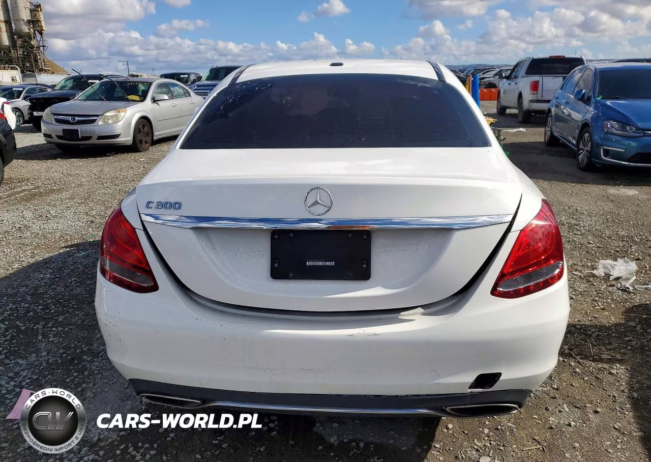 2018 Mercedes-Benz C 300 VIN:55SWF4JB2JU257520 - 6