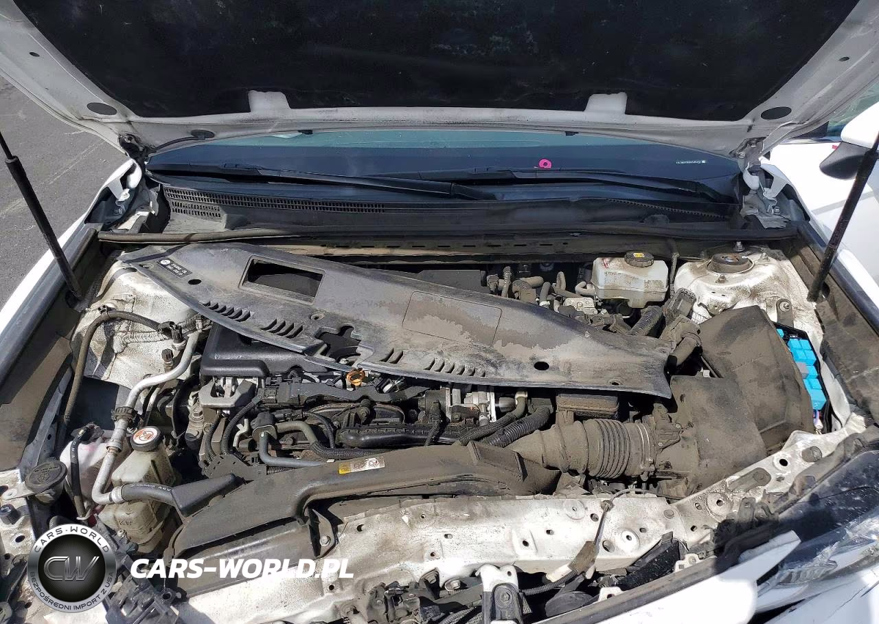 2019 Toyota Camry Le VIN:4T1B31HK6KU006310 - 11