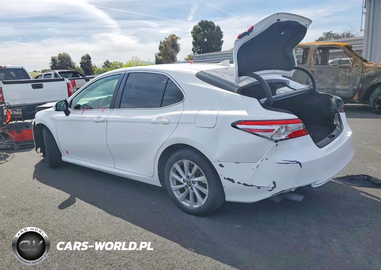 2019 Toyota Camry Le VIN:4T1B31HK6KU006310 - 2