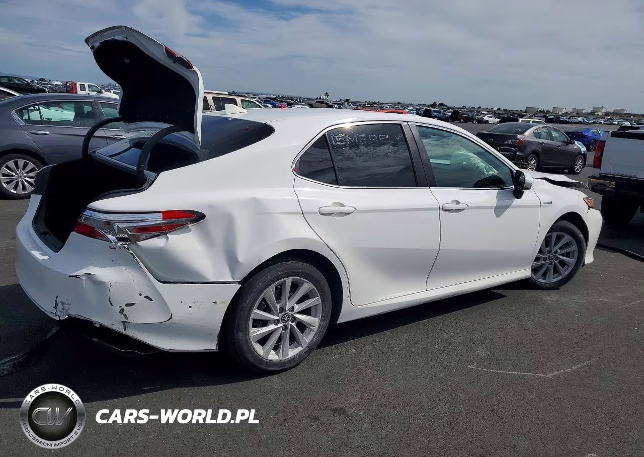 2019 Toyota Camry Le VIN:4T1B31HK6KU006310 - 3